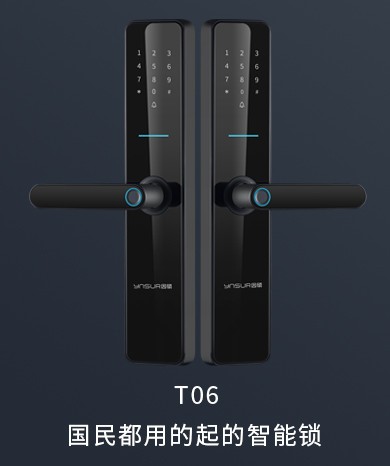T06